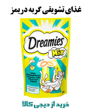 غذای تشویقی گربه دریمز مدل Snack With Salmon and Chese وزن 60 گرم